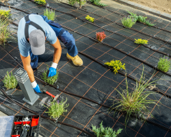 Drip Irrigation Service