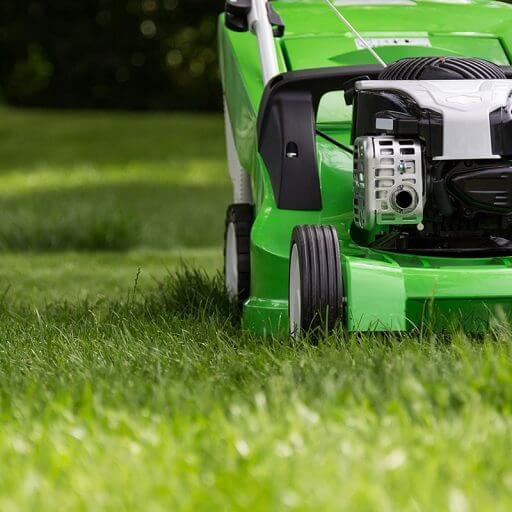 Why Choose Lyle Lavietes