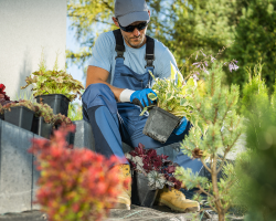 Landscaping