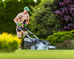 Lawn Care and Maintenance 